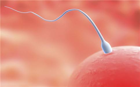 培养箱